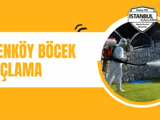 Erenköy böcek ilaçlama
