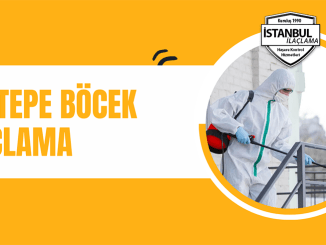 Göztepe böcek ilaçlama