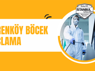 içerenköy böcek ilaçlama