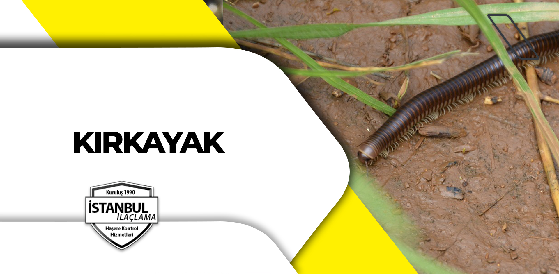 kırkayak