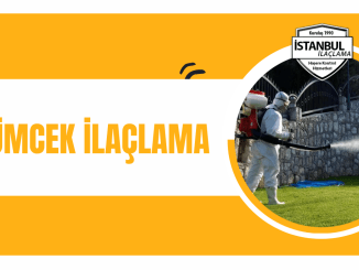 örümcek ilaçlama