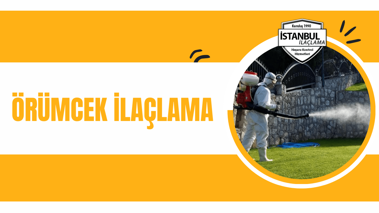 örümcek ilaçlama