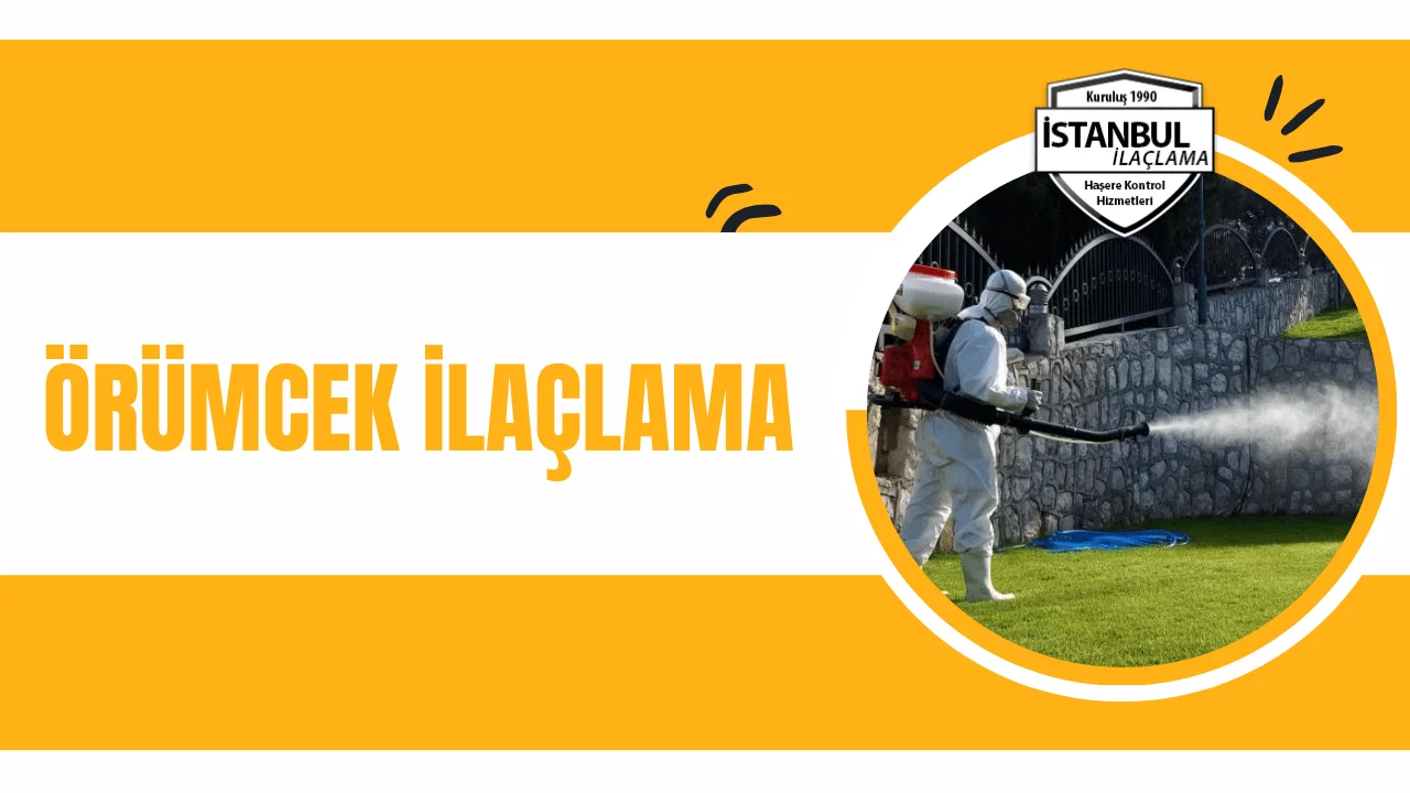 örümcek ilaçlama