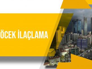 Şişli böcek ilaçlama