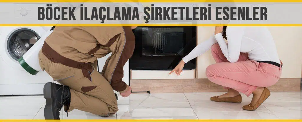 Böcek İlaçlama Şirketleri Esenler