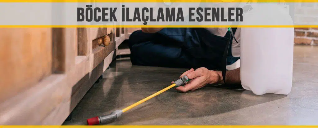 böcek ilaçlama esenler
