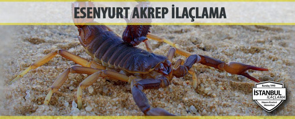 esenyurt akrep ilaclama