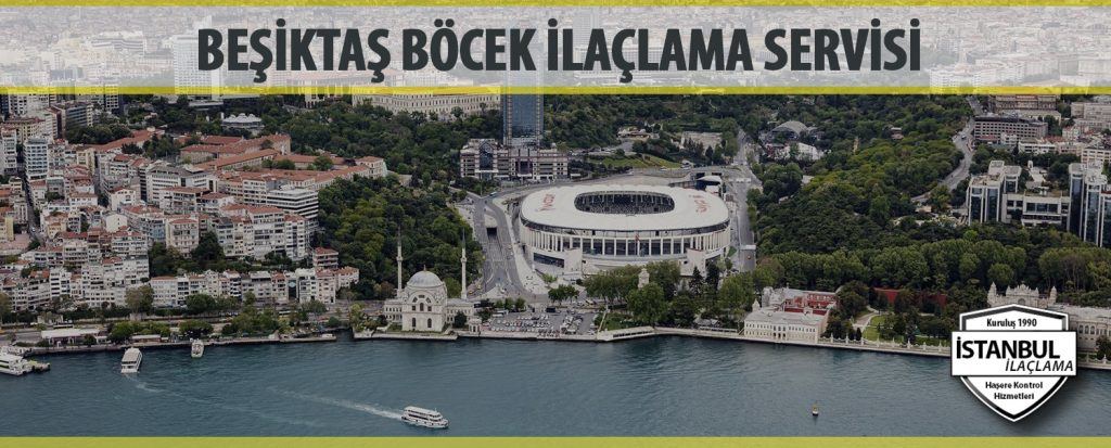 Beşiktaş Böcek İlaçlama Servisi