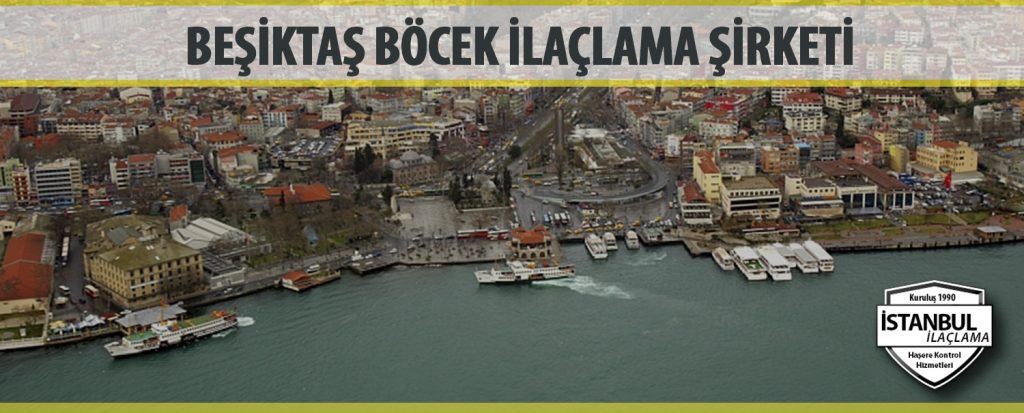 Besiktas Bocek ilaclama Sirketi Beşiktaş Böcek ilaçlama Şirketi