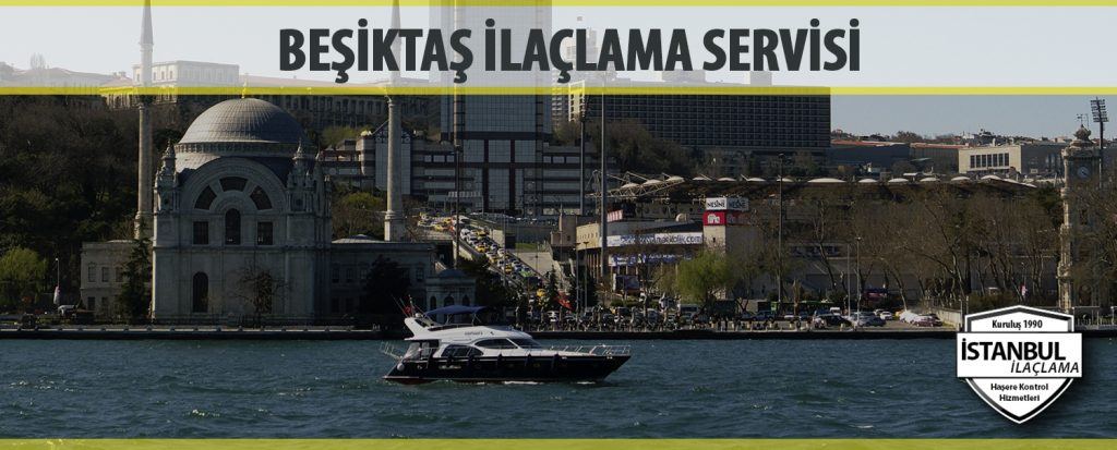 Beşiktaş ilaçlama Servisi