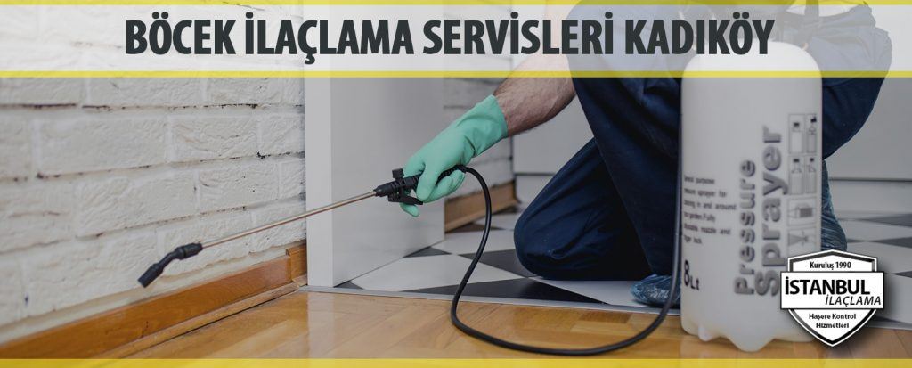 Kadıköy Böcek İlaçlama firmaları
