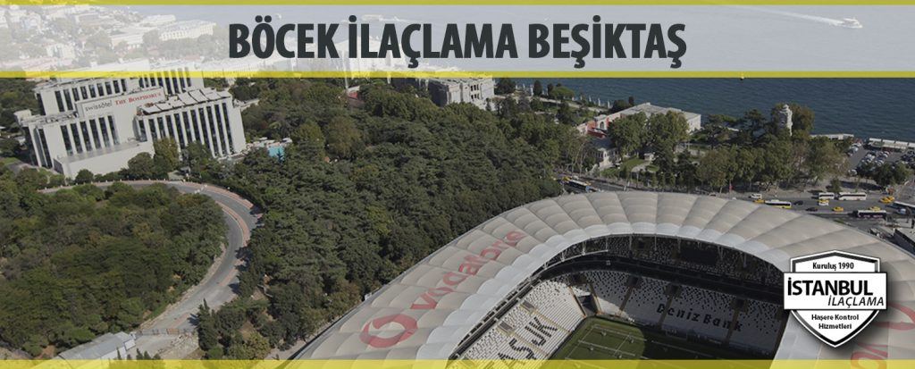 Böcek ilaçlama Beşiktaş