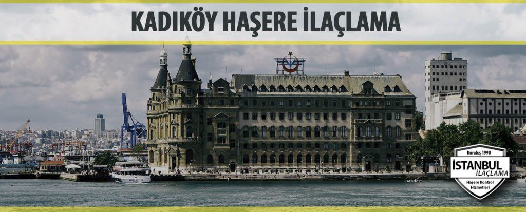 Kadıköy Haşere İlaçlama