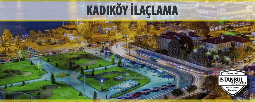 Kadıköy İlaçlama
