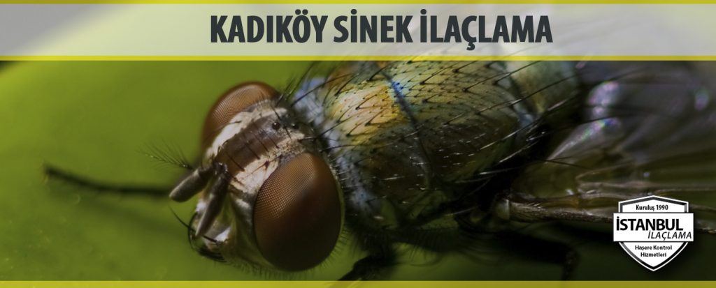 Kadıköy Sinek İlaçlama