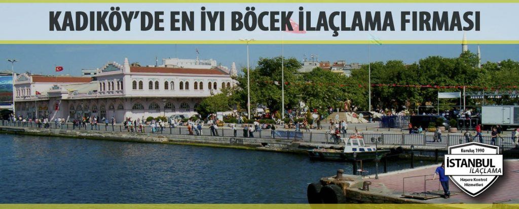 Kadıköy İlaçlama Firması