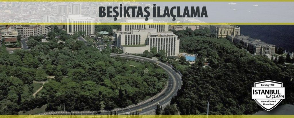 Beşiktaş ilaçlama