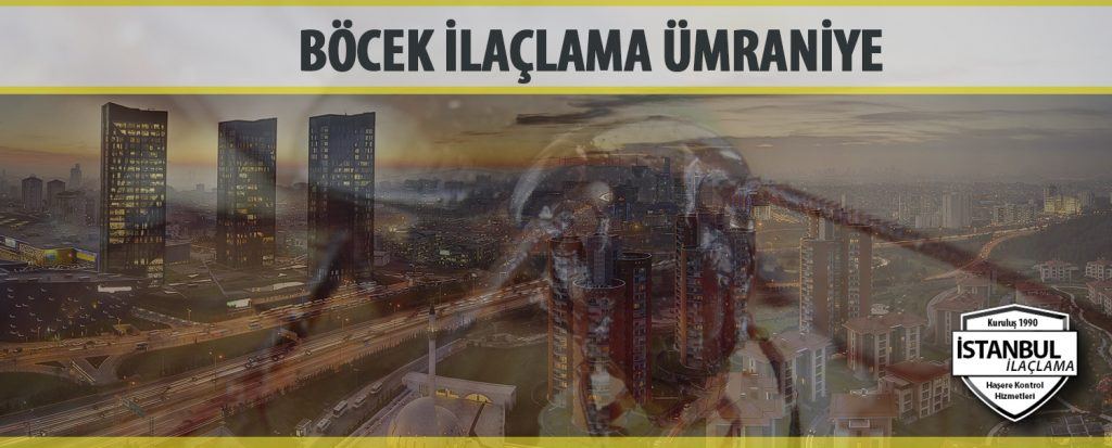Böcek ilaçlama Ümraniye