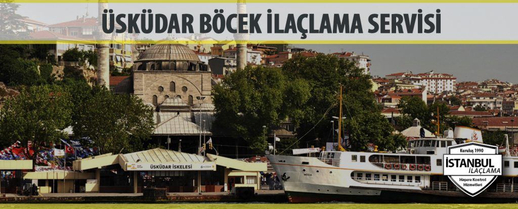 Üsküdar Böcek İlaçlama Servisi