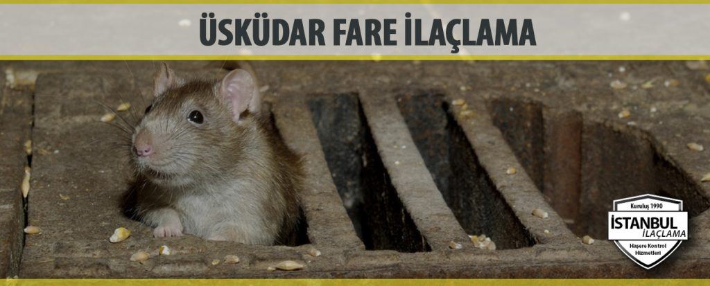 Uskudar Fare Ilaclama