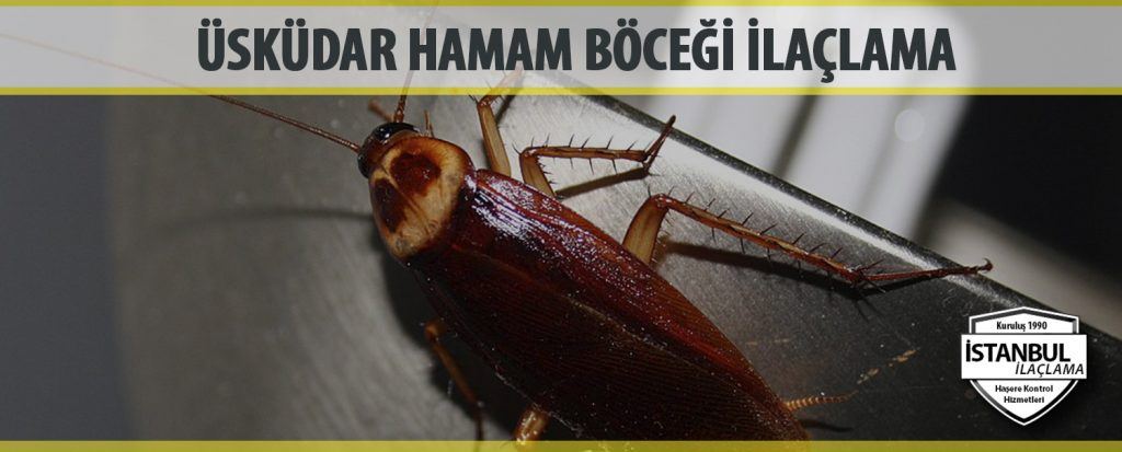 Üsküdar Hamam Böceği İlaçlama
