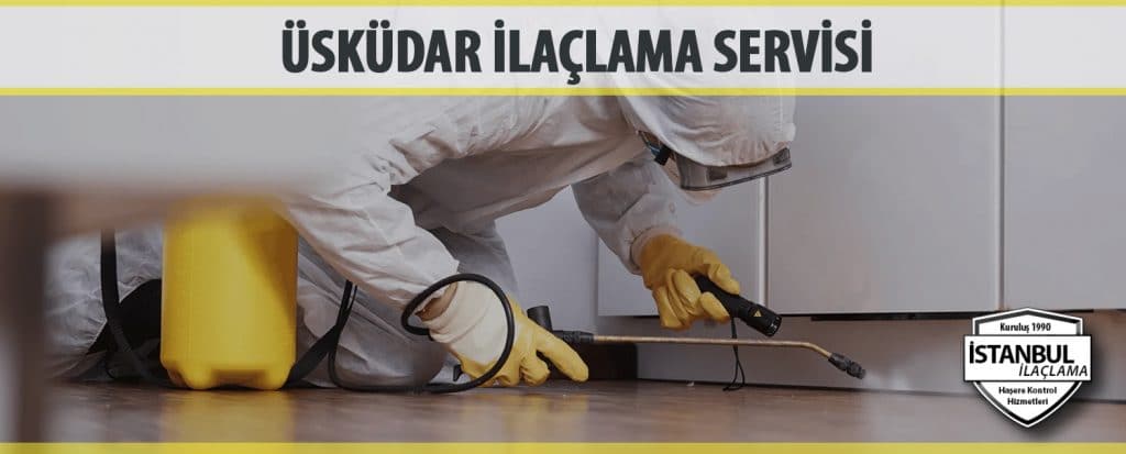 Uskudar Ilaclama Servisi