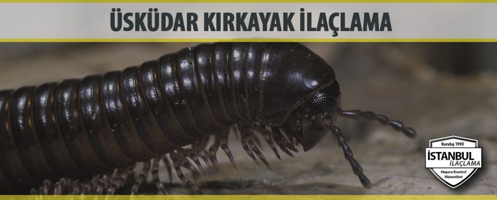 Üsküdar Kırkayak İlaçlama