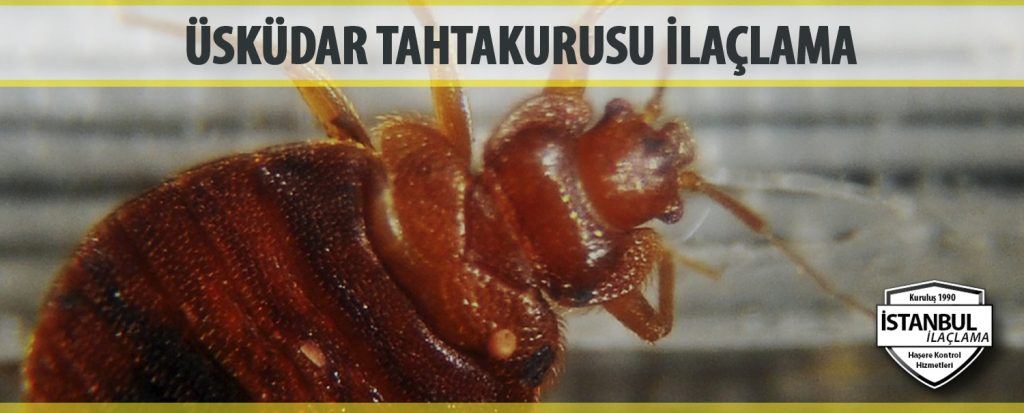 Uskudar Tahtakurusu Ilaclama