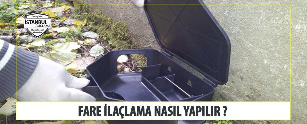 Fare İlaçlama Nasıl Yapılır