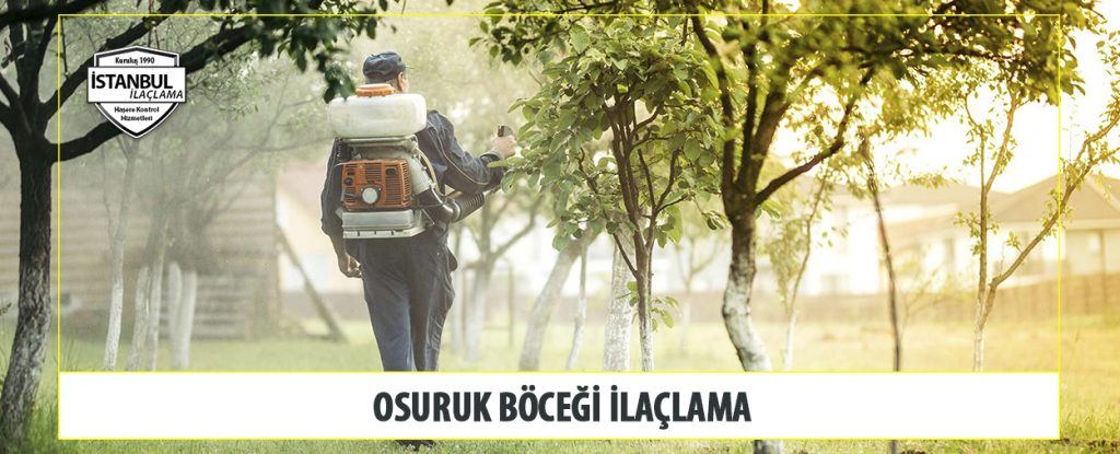 Osuruk Böcegi ilaçlama