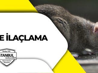 fare ilaçlama
