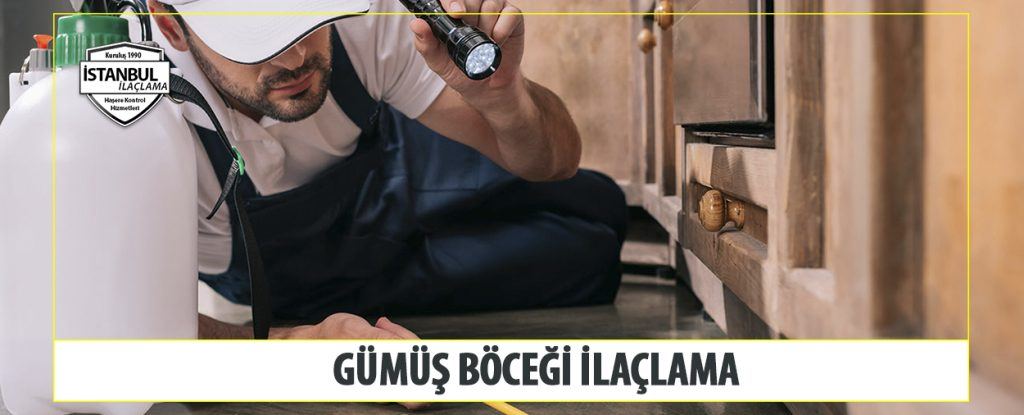 Gümüş Böceği ilaçlama