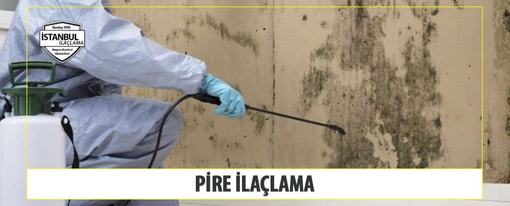 Pire ilaclama