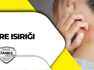 pire ısırığı