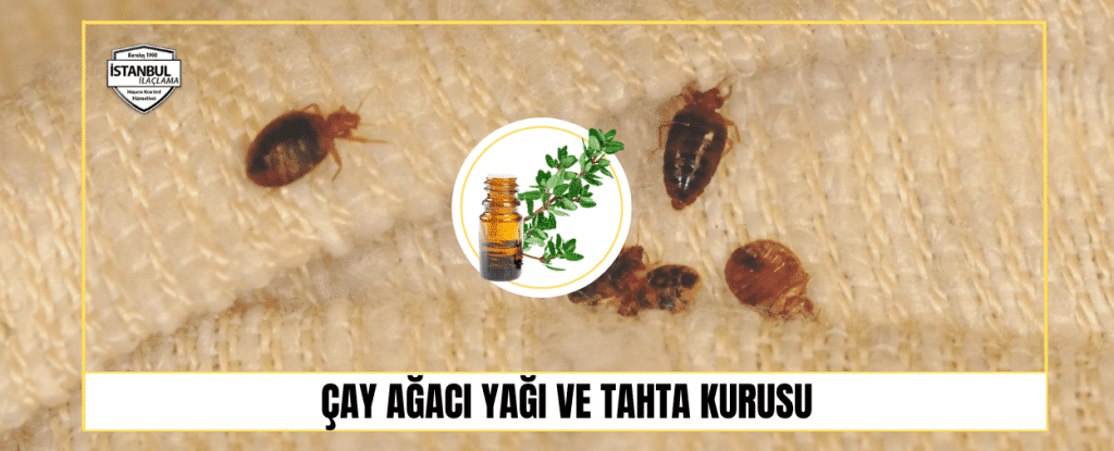 Cay Ağacı Yağı ve Tahta kurusu