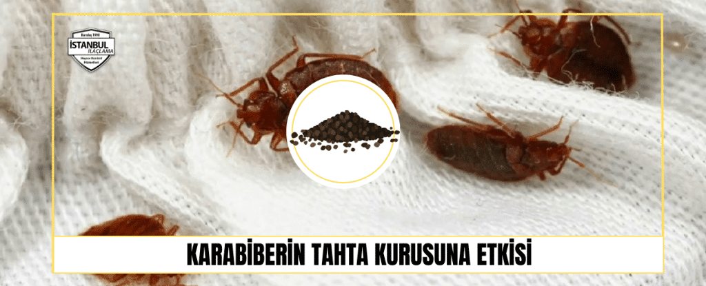Karabiberin Tahta kurusuna Etkisi
