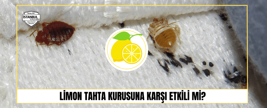 Limon Tahta kurusuna Karsi Etkili mi