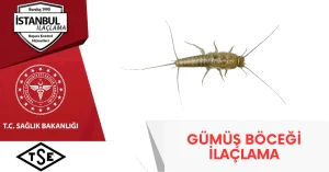 gümüş böceği ilaçlama blog