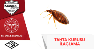 Tahta kurusu ilaçlama blog