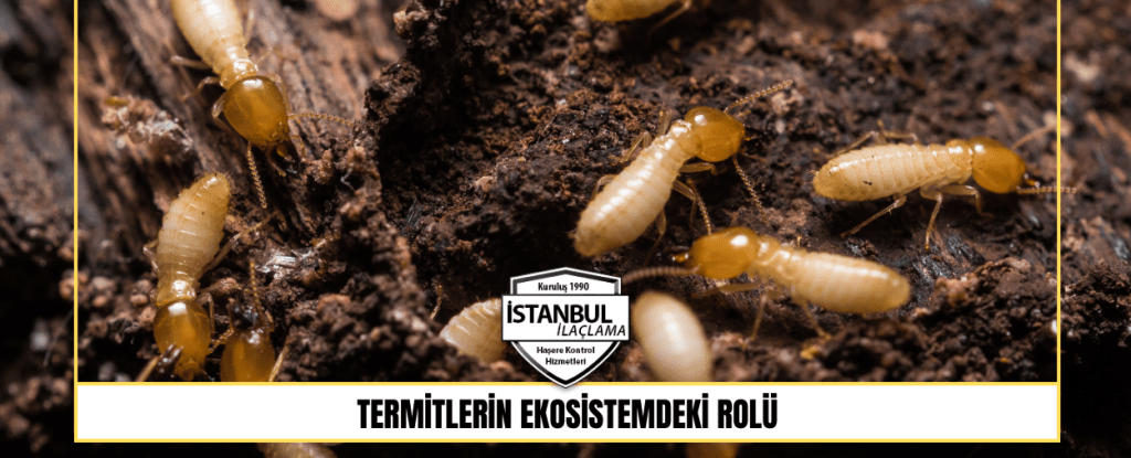 Termitlerin Ekosistemdeki Rolü Termitlerin Ekosistemdeki Rolü
