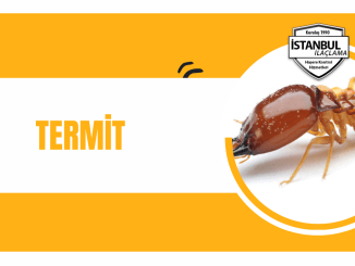 termit istanbulilaclamacom
