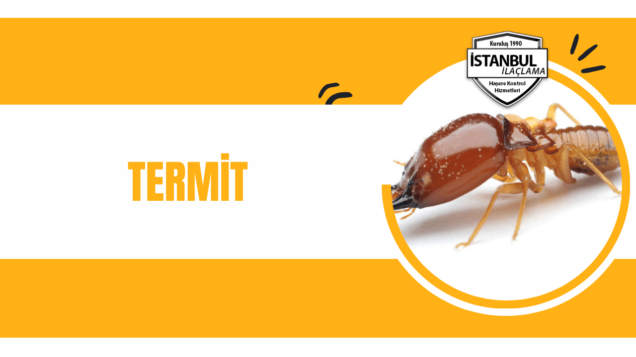 termit istanbulilaclamacom